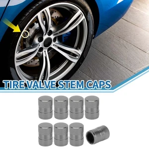 12x17MM Car Tire Valve Stem Caps Wheel Valve Cap Grey for Car SUV Bike RV 8pcs - Picture 1 of 7