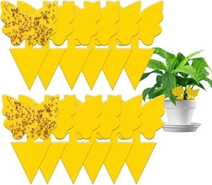 24pcs Sticky Traps, Fruit Fly Traps for Indoors, Gnat Sticky Traps for House ... - Picture 1 of 7