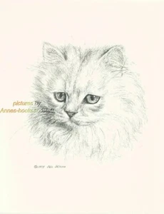 #78 WHITE PERSIAN CAT * cat art print * pen & ink drawing by Jan Jellins - Picture 1 of 1