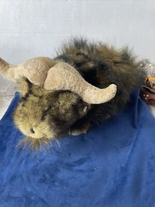 Peluche parlante Iceberg Augie Manley il bue muschiato 2001 amici polari nuovo senza etichetta - Foto 1 di 10