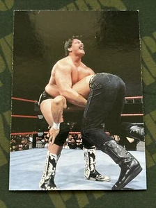 1998 Comic Images WWF Superstarz #26 Bradshaw - Picture 1 of 2