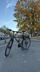 2R Manufaktur TLX30 Trekkingrad 28 Zoll matt grey - Bild 1 von 8