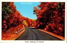 Vintage Michigan MI Postcard Generic Fall Color Scenic Highway from Seney 