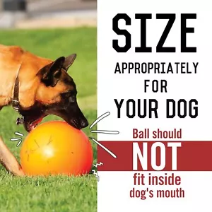 Virtually Indestructible Best Ball for Dogs, 10-inch - Picture 1 of 8