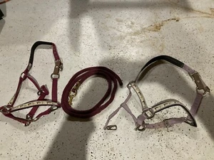 Intel Horse Halters And Lead Rope - Picture 1 of 6