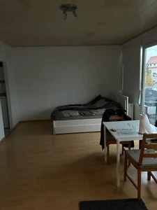 Ich suche ab 1. Dezember Nachmieter/in - Bild 1 von 6