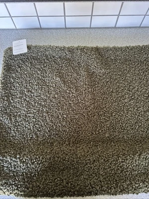 NEW! Pottery Barn Cozy Teddy Faux Fur Pillow Cover 24 X 24" in Loden - Image 1 of 4