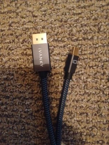 IVANKY 10ft Display Port Wire, 10 Feet, Black - Afbeelding 1 van 2