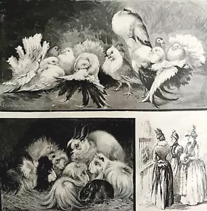 Poultry Show Crystal Palace Louis Wain 1888 Victorian Woodcut Print Art HM1F - Picture 1 of 2
