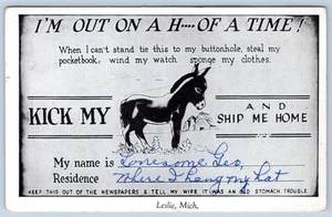 Postal humorística vintage 1956 Kick My Ass and Ship Me Home Leslie Michigan - Imagen 1 de 2