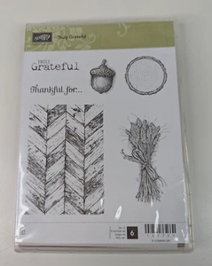 Juego de estampillas de goma sin montar Stampin' Up VERDADERAMENTE AGRADECIDAS 131733 - Imagen 1 de 8