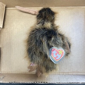 Ty Beanie Buddy - Beak The Kiwi Bird - Mint - Free Shipping - Picture 1 of 7