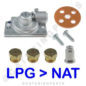 GASUMBAUSATZ FÜR PITCO FRITTEUSE 35C 35C + LP LPG ZU NAT PILOT, VENTIL & BRENNER - Bild 1 von 6