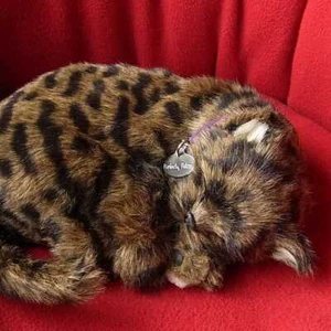 Muñeca de peluche para dormir marrón atigrado estómago de gato se mueve como respirar con cama - Imagen 1 de 3