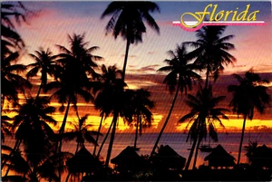 Die unglaubliche Majestät von Florida Kontinental Postkarte - Bild 1 von 2