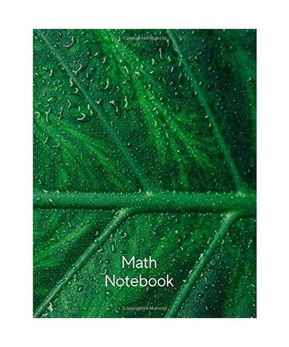 Math Notebook: 120 pages, math notebook, quad ruled workbook, 8.5 x 11 ...