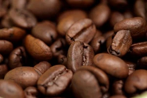 2025 Brazilian Santos Bourbon - Fresh Roasted Coffee -  2  Bags  -  Whole Bean - Picture 1 of 2