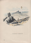 Charming Vintage Tunnicliffe Bird Print 1942 Goldfinch Landscape 1st Edition