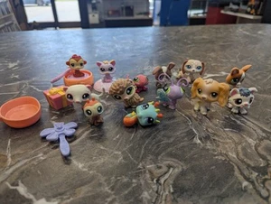 Littlest Pet Shop Lot Of 13 Figures LPS Authentic - Dogs- Cats -Animals 2000’s - Picture 1 of 9