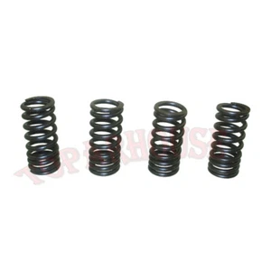 Valve Springs For Daytona Anima 150 190 4V FLX FDX FE Engine - Bild 1 von 6