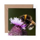 1 x Blank Greeting Card Bumble Bee Purple Flowers #3149