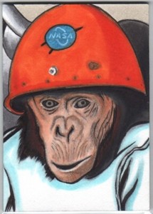 Viceroy Space Series 2 Chris Thorne Sketch Ham Space Chimp