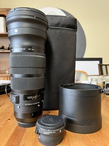 Sony 120-300mm F2.8 DG OS HSM | Sports