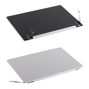 Pantalla de repuesto plateada OEM para Microsoft Surface Laptop Go Pantalla LCD - Imagen 1 de 7