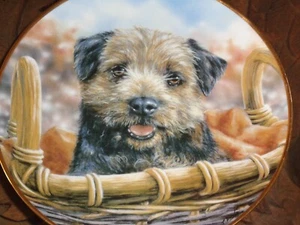 Danbury Mint Collectors Plate HITCHING A LIFT From THE BORDER TERRIER - Picture 1 of 4