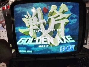 Golden Axe System 16b Arcade PCB Working this is not a jamma board free shipping - Picture 1 of 6
