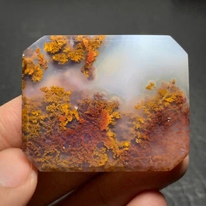 Scenic Moos Achat Cabochon 41x33x6mm hochwertig 85 ct - Bild 1 von 7