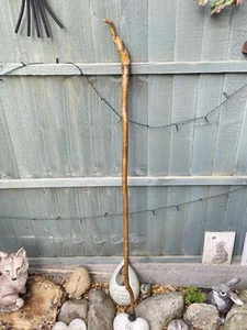 Vintage Handmade Wooden Carved Bird Walking Stick - Picture 1 of 8