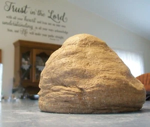 Organic Sourdough Starter from My Indiana Homestead Kitchen, Spelt, Wheat - Picture 1 of 10