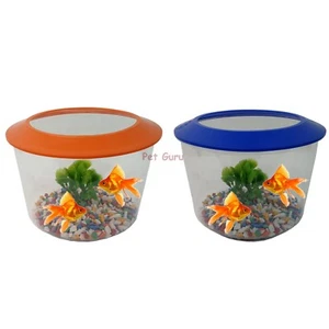 GOLDFISH STARTER SET AQUARIUM GOLD FISH TANK BOWL GRAVEL PLANT KIT - Picture 1 of 3