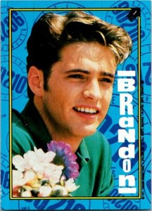 1991 Topps  Beverly Hills 90210 Sticker Card #1 Brandon 