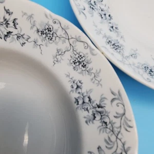 JHW & Sons Hanley England Normandy Pattern 2 Soup Bowls Blueberry Blue 9 in - Picture 1 of 16