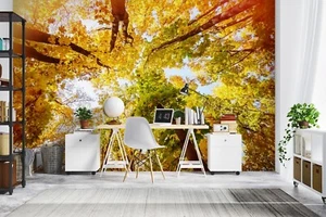3D Sunshine Forest G3720 Wallpaper Wall Murals Removable Self-adhesive Erin - Picture 1 of 11