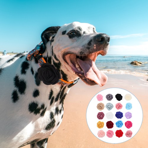 VETEMENTS 20 Pezzi Collana Chiffon Fiore per Animali Accessorio Cravatta