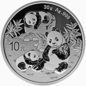 2025 China 10 Yuan 30g Ag.999 Panda Silver Coin - Picture 1 of 1