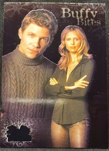 Buffy The Vampire Slayer Evolution Chase Card Inkworks 2002 BL-2