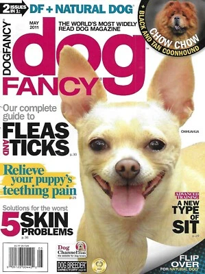 Dog Fancy Magazine Chihuahua Chow Skin Problem Training Green Cleaning Tick Foto 1 de 4