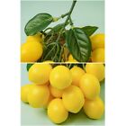 Artificial Lemon Branches Fake Fruit Prop for Table Party Decoration Anti Fading