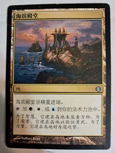 Seaside Citadel CHINESE (229/249) Shards of Alara MTG MAGIC LP - Picture 1 of 1