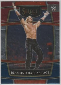 2022 Select WWE rot & blau #35 Diamant Dallas Seite Legenden - Bild 1 von 1