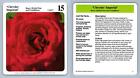 Chrysler Imperial #9 Roses - My Green Gardens 1987 Cardmark Card