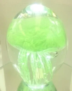 Glas Kristall Qualle Briefbeschwerer Skulptur - Bild 1 von 10