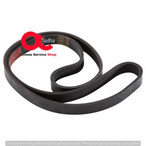Life Fitness 95Xi alternator Riemen - Bild 1 von 1