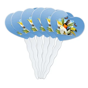 Tropical Birds Selfie Parrot Toucan Heart Love Cupcake Picks Toppers Set of 6 - Picture 1 of 7