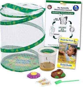 Insect Lore Butterfly Garden | Butterfly Kit with Live Caterpillars | 5 Caterpil