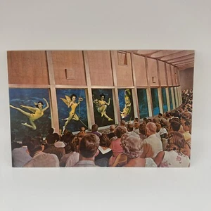 Weeki Wachee Florida Mermaids Vintage Chrome Unused Postcard - Picture 1 of 7
